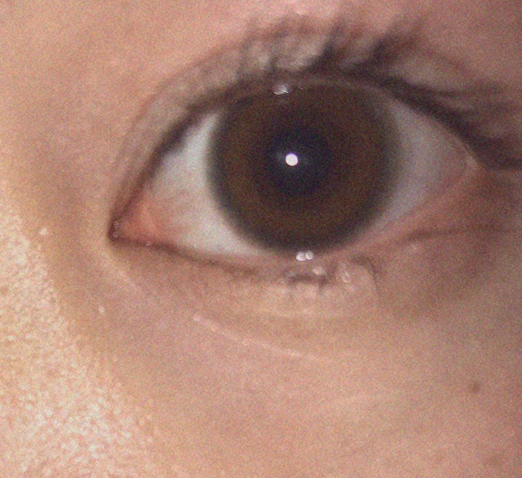 LA FILLE (ラ・フィーユ)/LA FILLE/カラーコンタクトレンズを使ったクチコミ（3枚目）