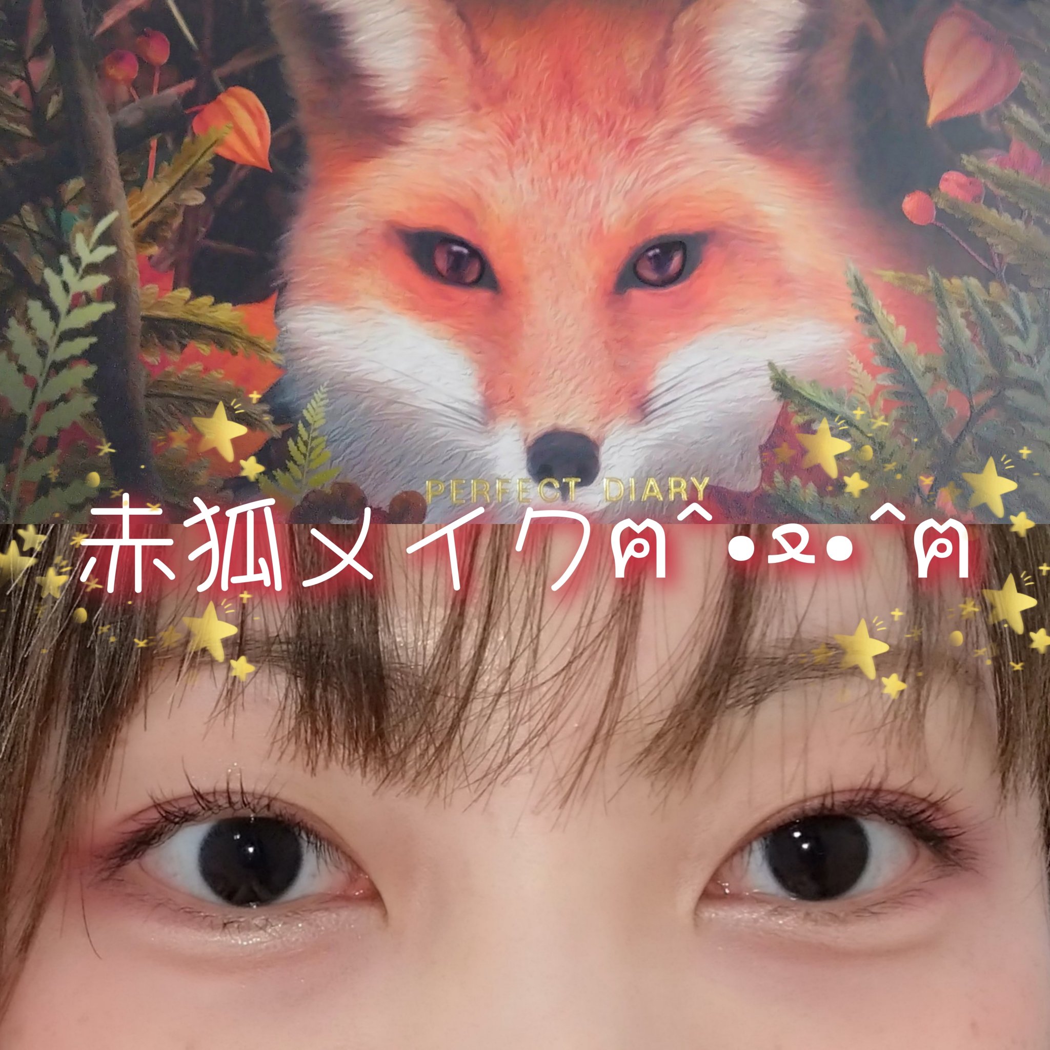 エクスプローラ12色 動物アイシャドウパレット/PERFECT DIARY/アイシャドウパレットを使ったクチコミ（1枚目）