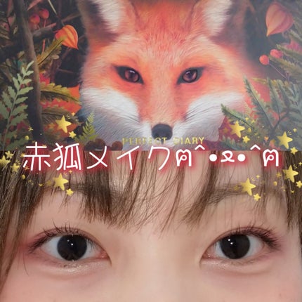 エクスプローラ12色 動物アイシャドウパレット/PERFECT DIARY/アイシャドウパレットを使ったクチコミ(1枚目)