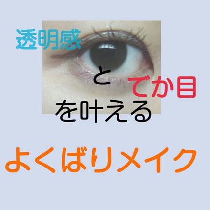 極細 アイライナーR/CEZANNE/リキッドアイライナーを使ったクチコミ(1枚目)