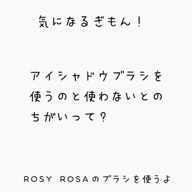 アイシャドウブラシセット/ロージーローザ/メイクブラシを使ったクチコミ（1枚目）