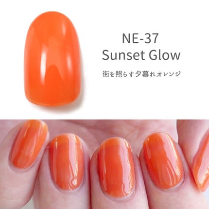 NE-37 サンセットグロウ(Sunset Glow)