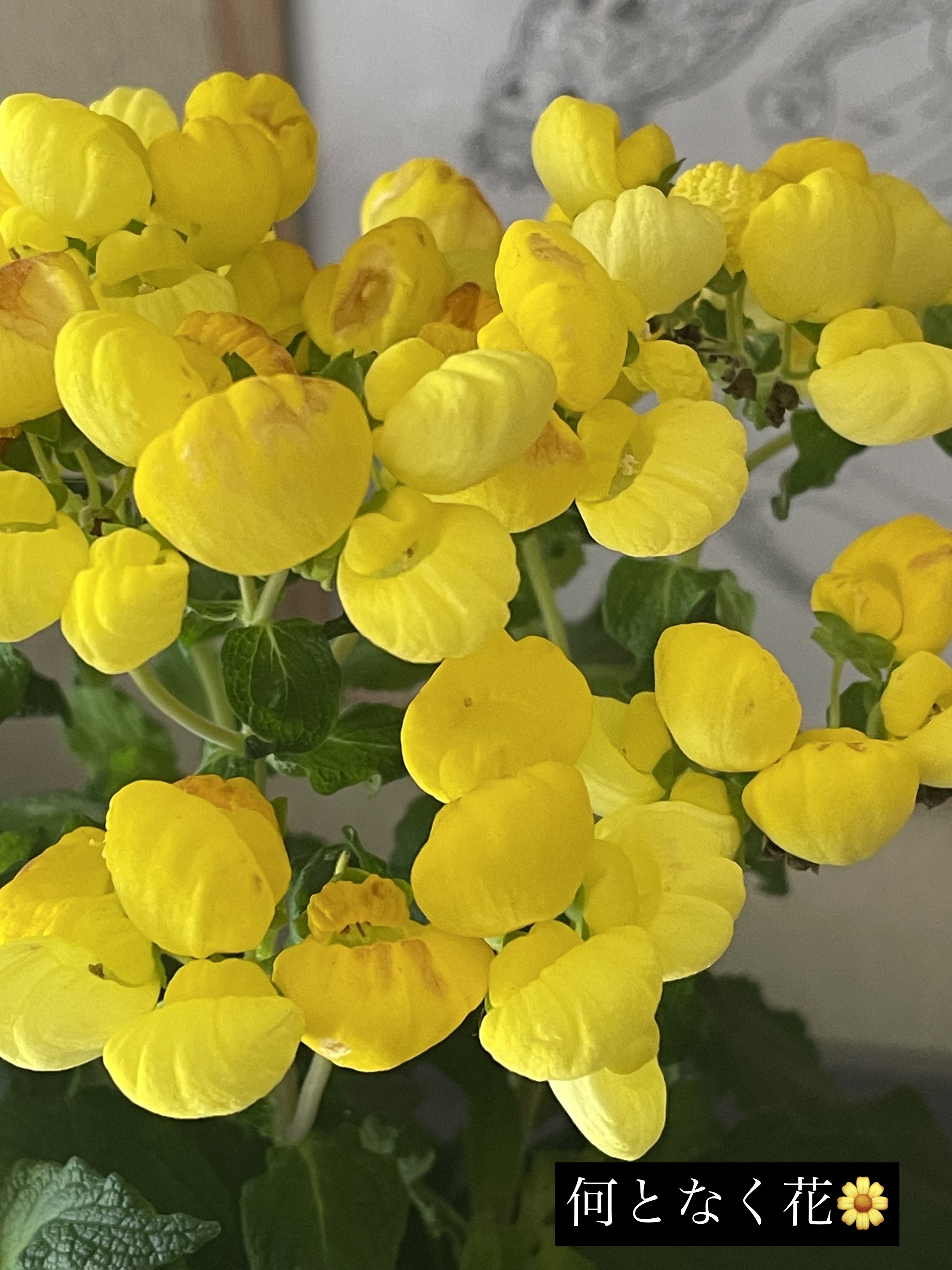 フィクシングティント スリーピーKOYA/ETUDE/リップティントを使ったクチコミ（2枚目）