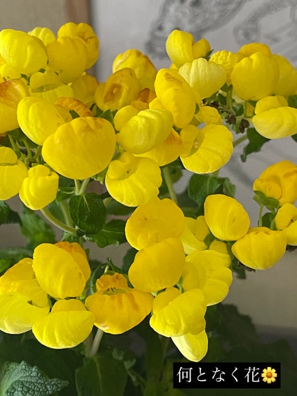 フィクシングティント/ETUDE/リップティントを使ったクチコミ(2枚目)