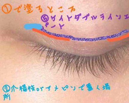 アイラッシュフィクサーEX 552/D-UP/つけまつげを使ったクチコミ(2枚目)