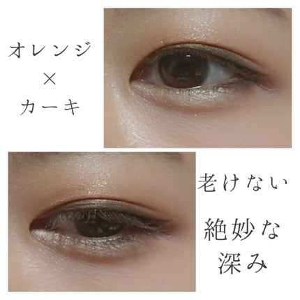 グロッシーリッチ アイズ N GR-7 ウォームカーキ系/Visée/アイシャドウパレットを使ったクチコミ(3枚目)