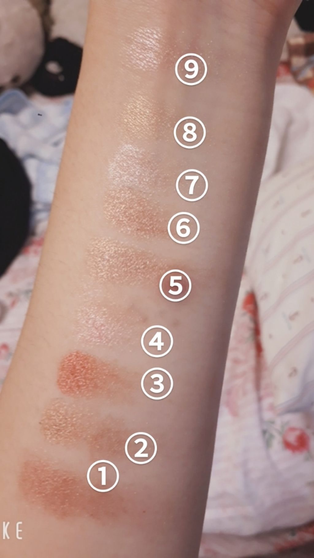 shadow/HOLDLIVE/アイシャドウパレットを使ったクチコミ(4枚目)