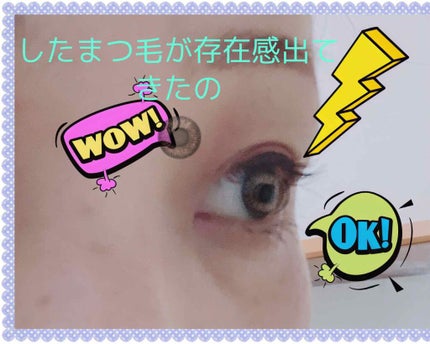 ラッシュジェリードロップ EX/MAJOLICA MAJORCA/まつげ美容液を使ったクチコミ(4枚目)