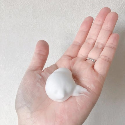 クリスタルホイップ/SHIRORU/泡洗顔を使ったクチコミ(2枚目)