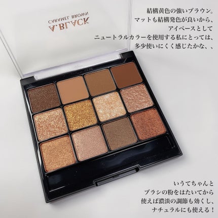 グラムチェンジマルチパレット/A.BLACK/マルチパレットを使ったクチコミ(2枚目)