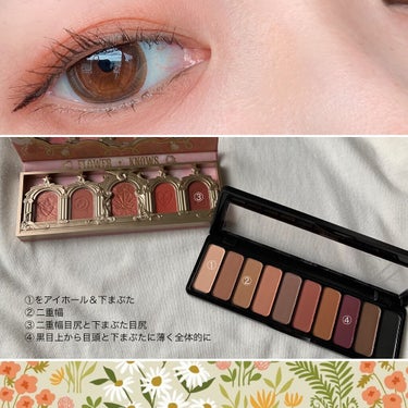 アイシャドウパレット/e.l.f. Cosmetics/アイシャドウパレットを使ったクチコミ（2枚目）