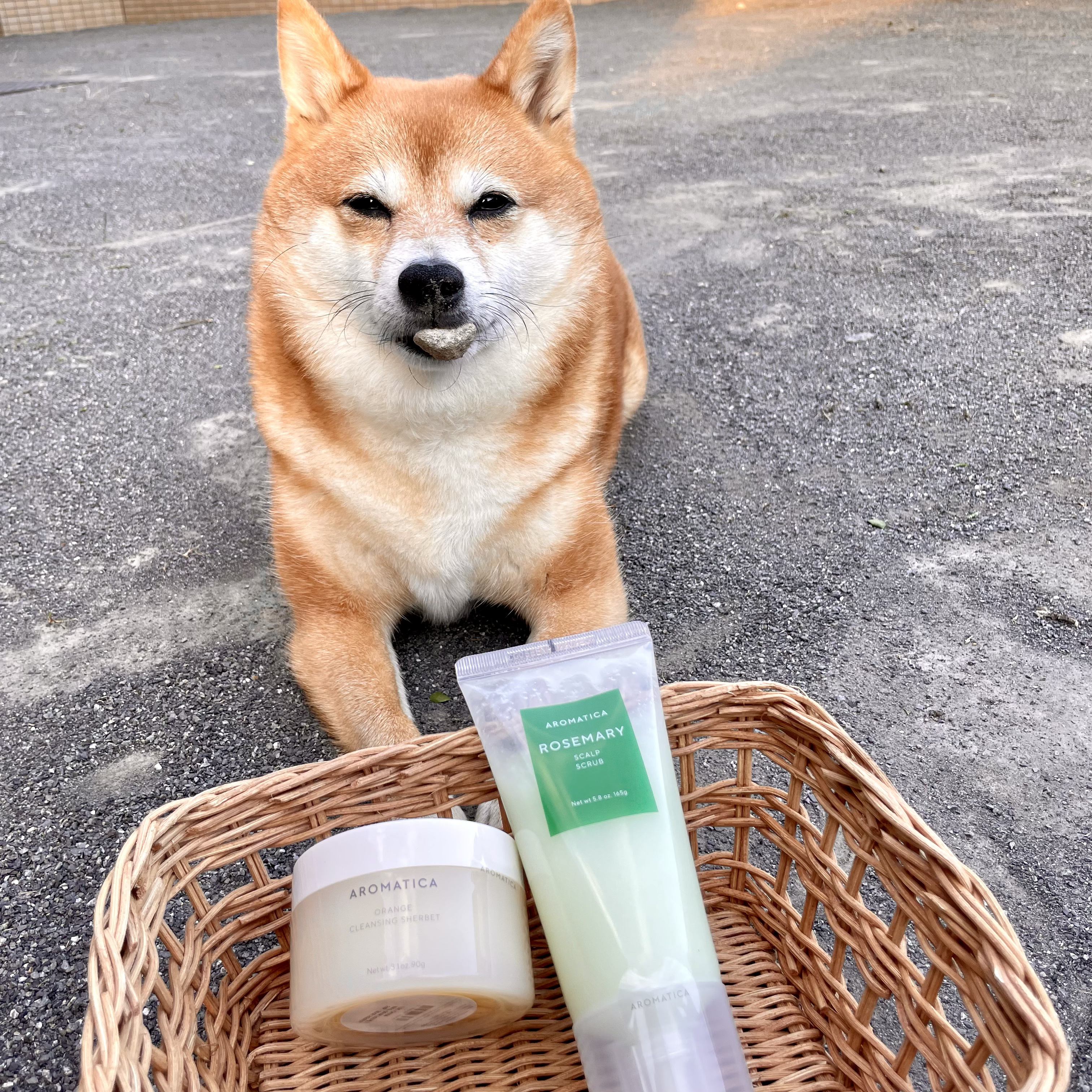 オレンジクレンジングシャーベット/AROMATICA/クレンジングバームを使ったクチコミ（1枚目）