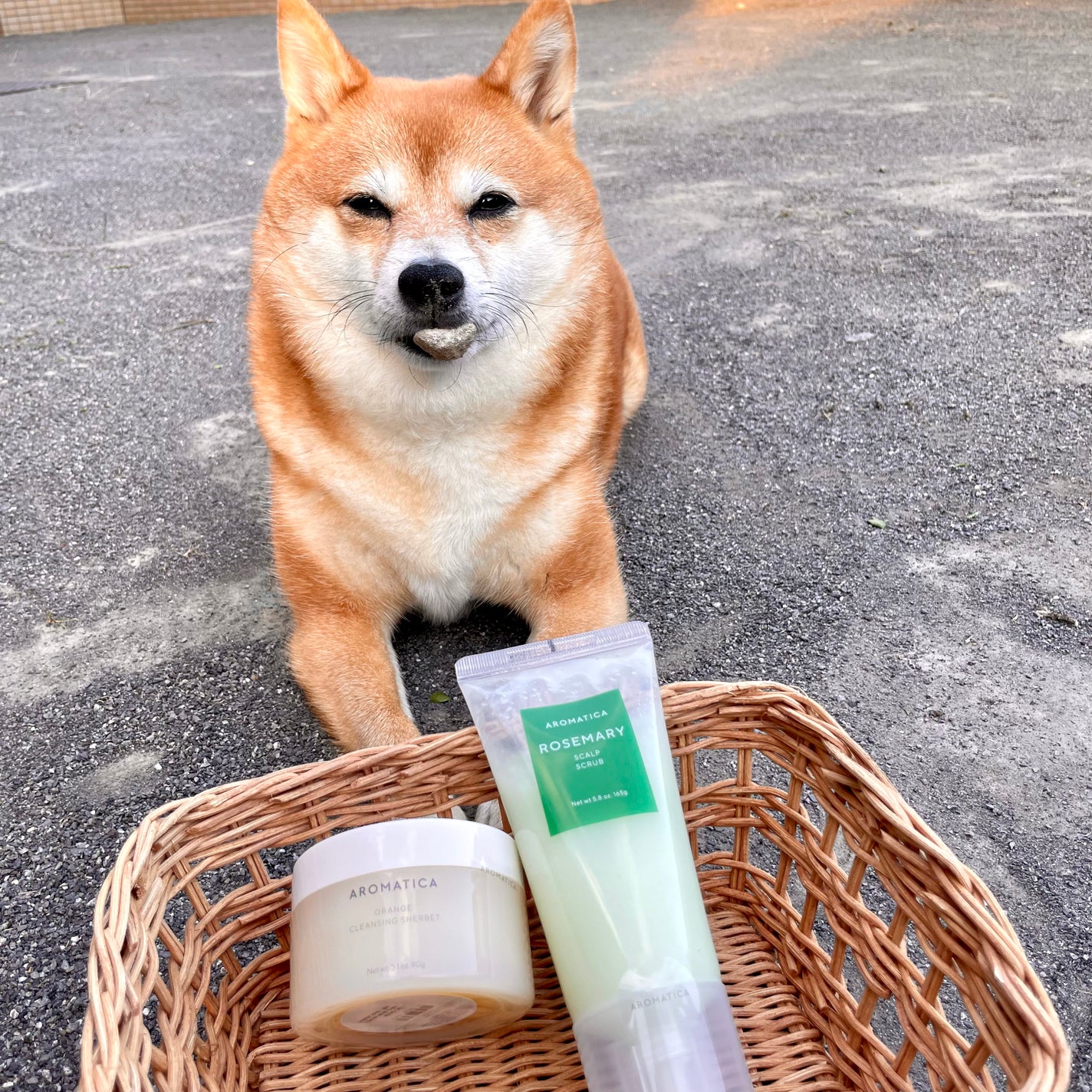 オレンジクレンジングシャーベット/AROMATICA/クレンジングバームを使ったクチコミ(1枚目)