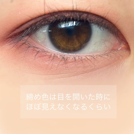 パーフェクトマルチアイズ/キャンメイク/アイシャドウパレットを使ったクチコミ(6枚目)