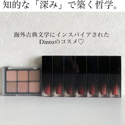 ブラーフィニシュシャドウパレット/Dinto/アイシャドウパレットを使ったクチコミ(1枚目)