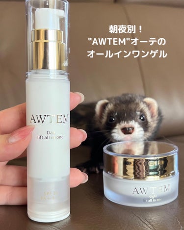 デイ リフトオールインワン（朝⽤クリーム）/AWTEM/オールインワン化粧品を使ったクチコミ（1枚目）