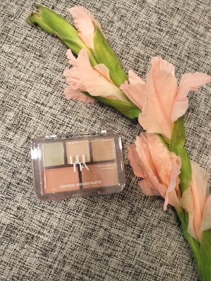 コンシールブレンダーパレット/LUNA/パレットコンシーラーを使ったクチコミ(1枚目)