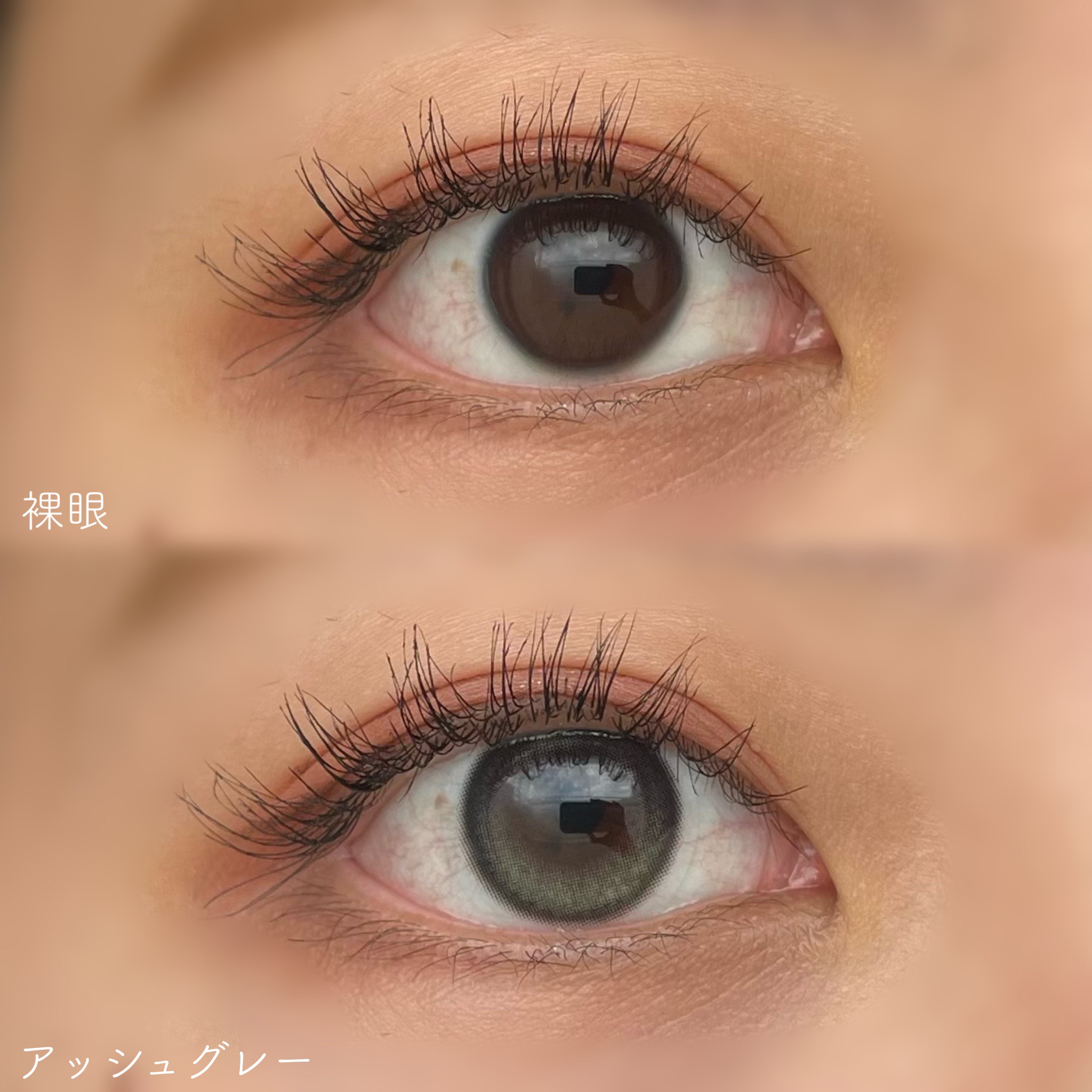 Glowy 1day/OLENS/ワンデー（１DAY）カラコンを使ったクチコミ（3枚目）