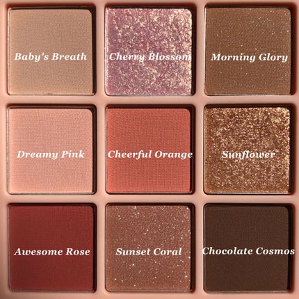 ワンピックアイシャドウパレット/APLIN/アイシャドウパレットを使ったクチコミ(4枚目)