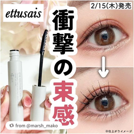 エテュセ アイエディション(ラッシュトップコート)/ettusais/マスカラトップコートを使ったクチコミ(1枚目)