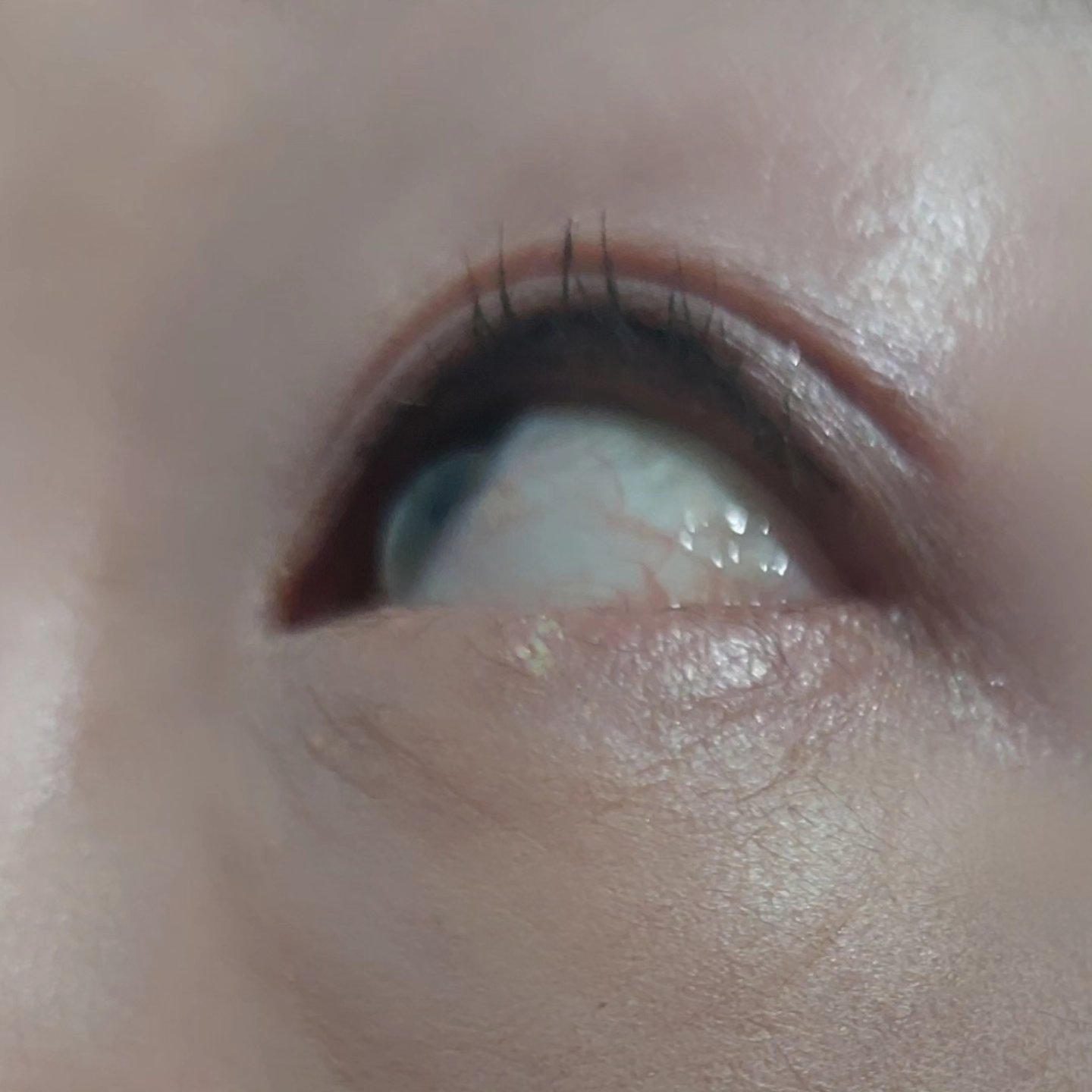 ヌーディズムマスカラ/chee shu/マスカラを使ったクチコミ（3枚目）