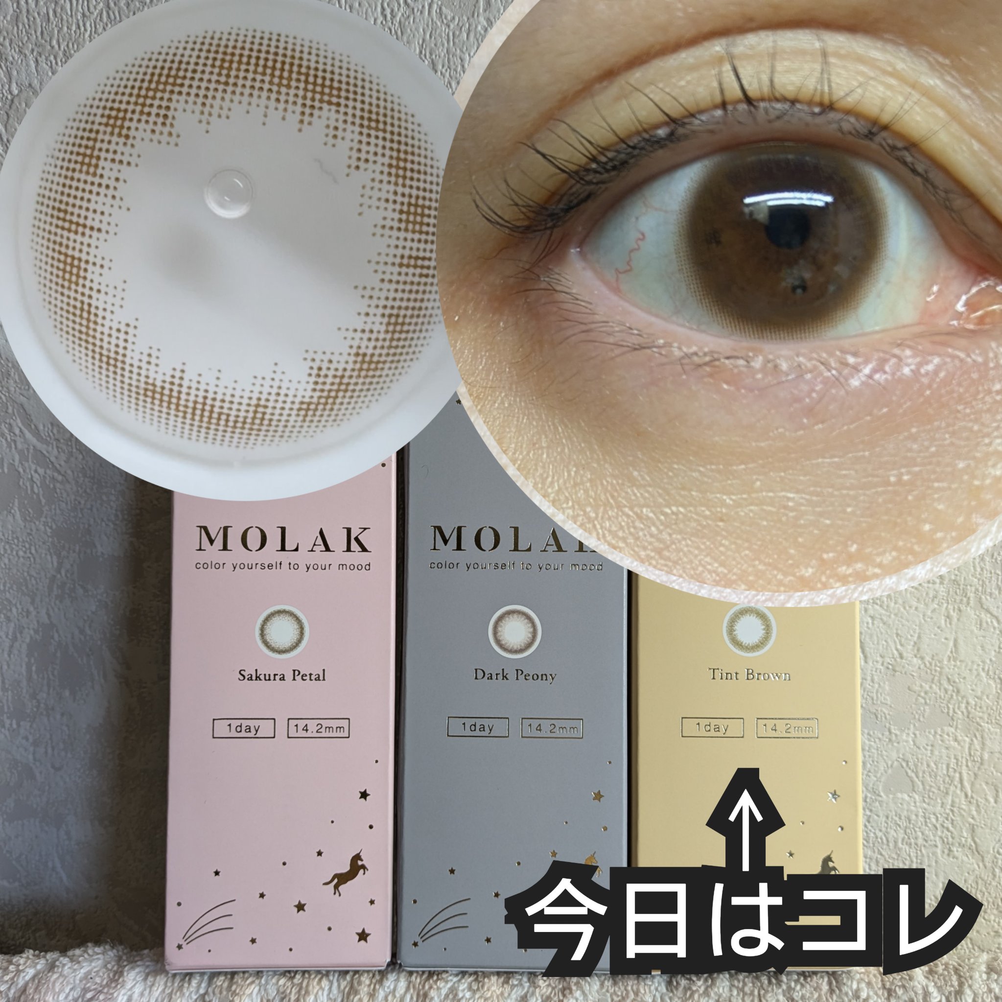 MOLAK 1day ティントブラウン/MOLAK/ワンデー（１DAY）カラコンを使ったクチコミ（1枚目）