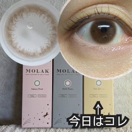 MOLAK 1day/MOLAK/ワンデー(1DAY)カラコンを使ったクチコミ(1枚目)