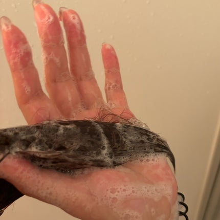 SILK THE RICH シャンプー/トリートメント/SILK THE RICH/市販シャンプーを使ったクチコミ(3枚目)