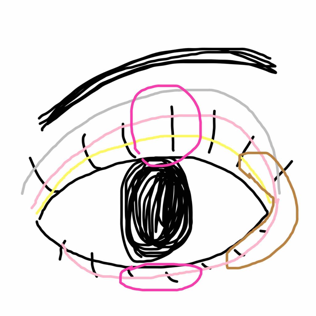 プロ アイ パレット/CLIO/アイシャドウパレットを使ったクチコミ(3枚目)