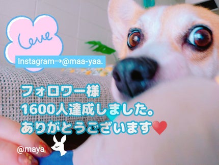 ã䜿ã£ãã¯ãã³ãïŒ1æç®ïŒ