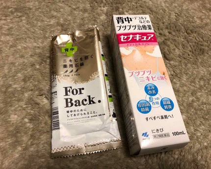 ニキビを防ぐ薬用石鹸 ForBack/ペリカン石鹸/ボディ石鹸を使ったクチコミ(1枚目)