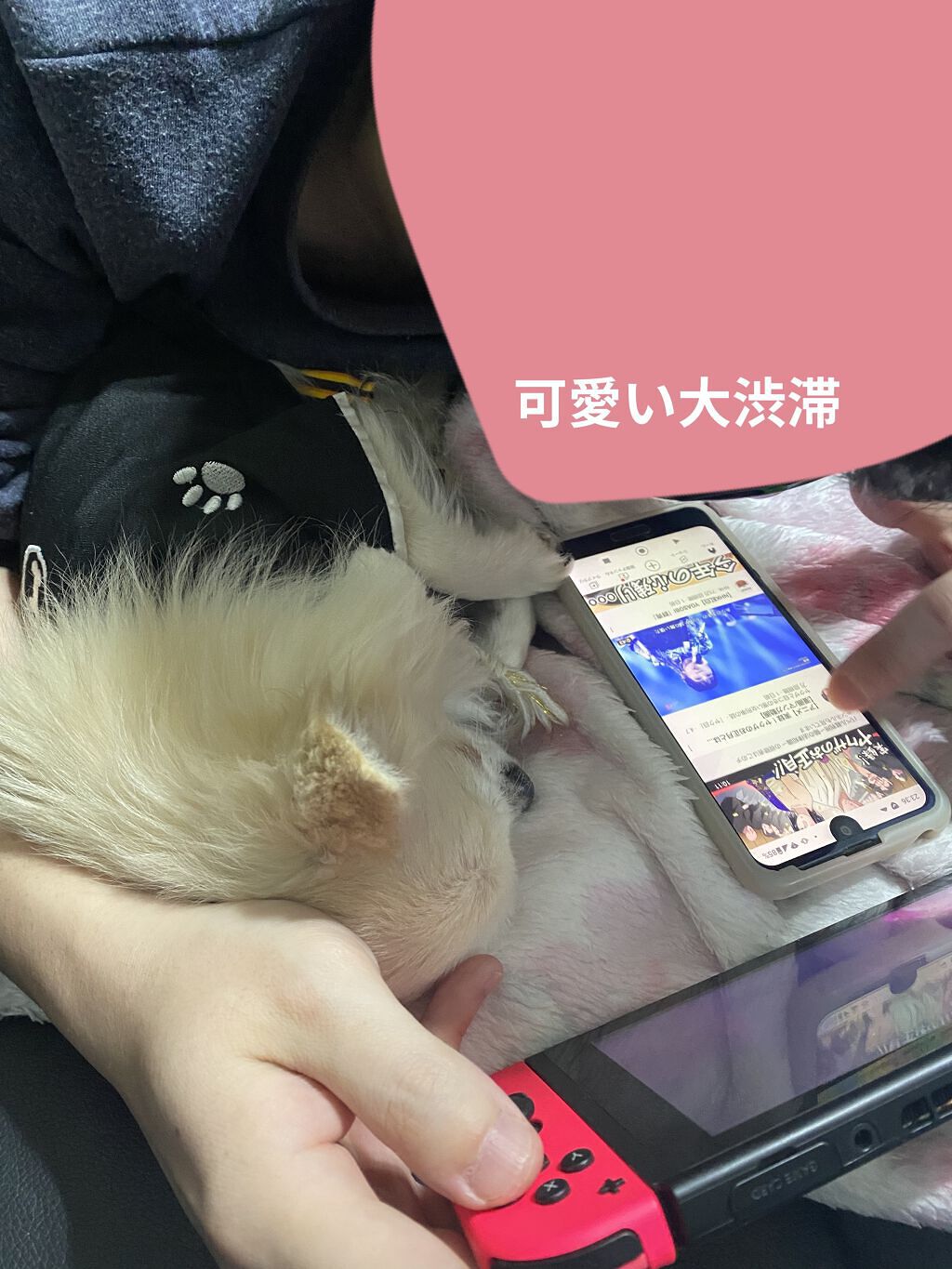 マックス 汗かきエステ気分 シトラスジンジャーのクチコミ「🍊マックス🍊
🍋汗かきエステ気分 シトラスジンジャー🍋
🧡オレンジ色のお湯🧡35ｇ

✨トップ.....」（3枚目）