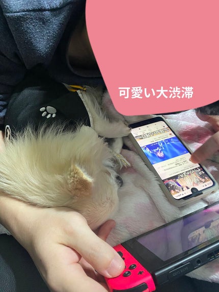 マックス 汗かきエステ気分 シトラスジンジャーのクチコミ「🍊マックス🍊
🍋汗かきエステ気分 シトラスジンジャー🍋
🧡オレンジ色のお湯🧡35g
✨トップ.....」(3枚目)