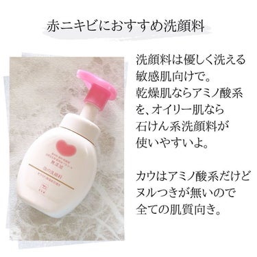 泡フェイスウォッシュ 本体 160ml/ラメランス/泡洗顔の画像