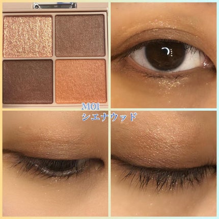 シルキースフレアイズ(マットタイプ)/キャンメイク/アイシャドウパレットを使ったクチコミ(3枚目)