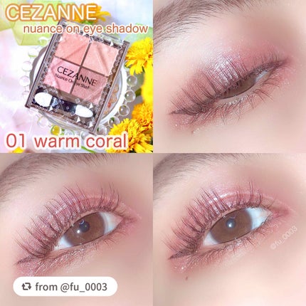 ニュアンスオンアイシャドウ/CEZANNE/アイシャドウパレットを使ったクチコミ(1枚目)