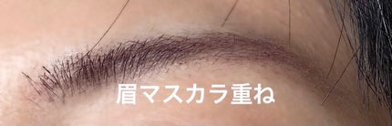 ヴィセ リシェ アイブロウパウダー/Visée/パウダーアイブロウを使ったクチコミ(6枚目)