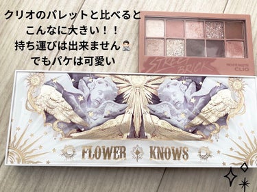 リトルエンジェル12色アイシャドウパレット/FlowerKnows/パウダーアイシャドウを使ったクチコミ（2枚目）