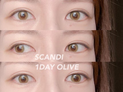 SCANDI 1day/OLENS/カラーコンタクトレンズを使ったクチコミ(1枚目)