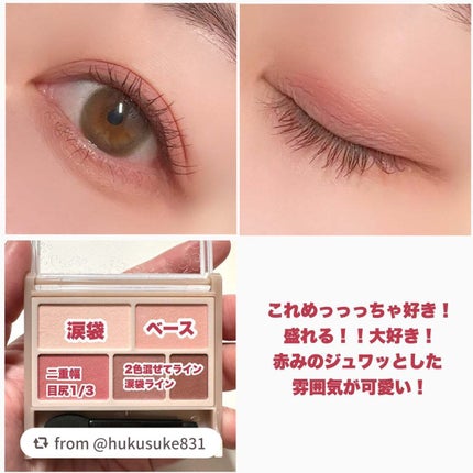 パーフェクトマルチアイズ/キャンメイク/アイシャドウパレットを使ったクチコミ(5枚目)