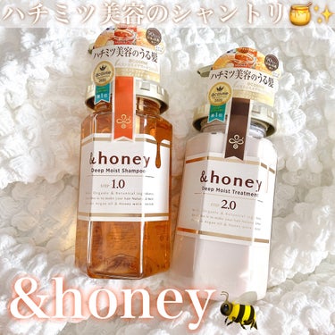 ディープモイスト シャンプー1.0／ヘアトリートメント2.0/&honey/シャンプー・コンディショナーを使ったクチコミ（1枚目）