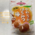 カンロやわらか はちみつ梅