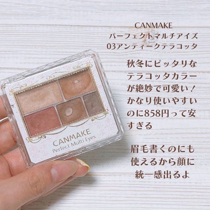 パーフェクトマルチアイズ/キャンメイク/アイシャドウパレットを使ったクチコミ(3枚目)