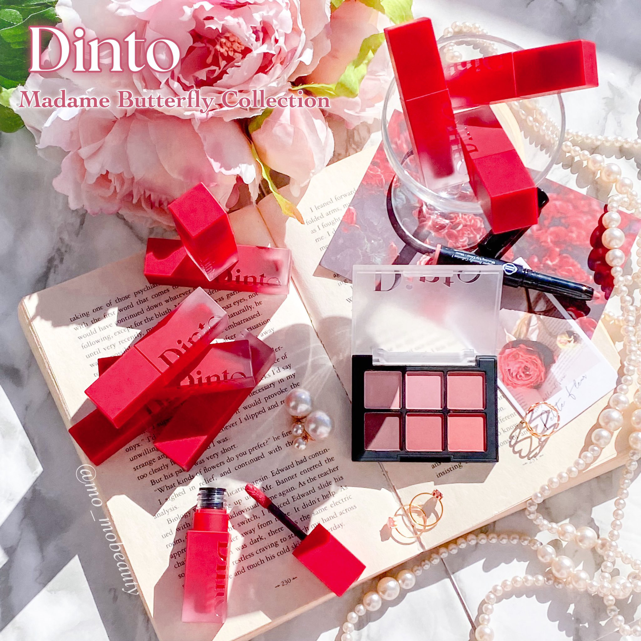 マダムバタフライコレクション ブラーニングリップベール/Dinto/口紅を使ったクチコミ（1枚目）