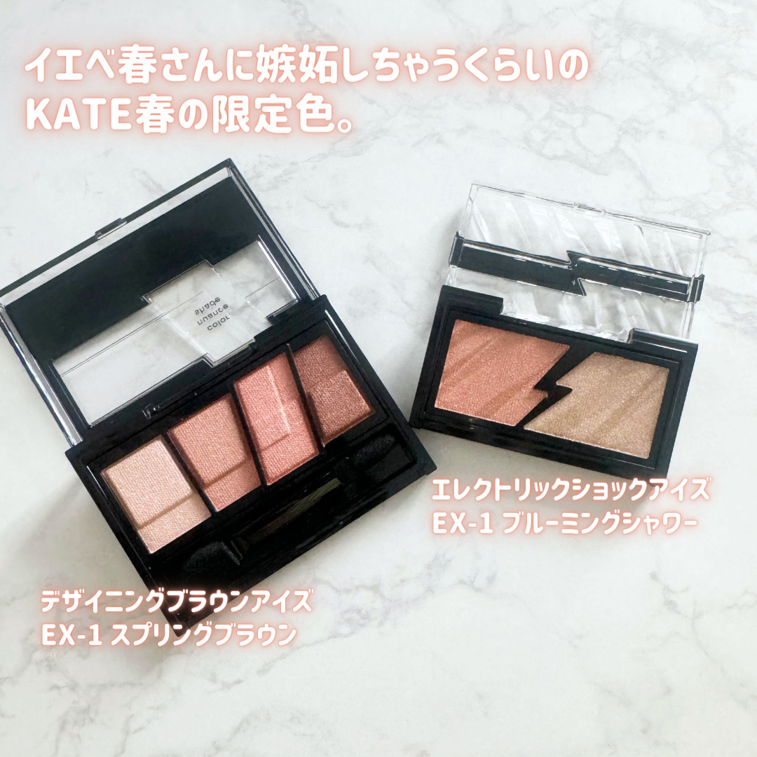 デザイニングブラウンアイズ/KATE/アイシャドウパレットを使ったクチコミ（2枚目）