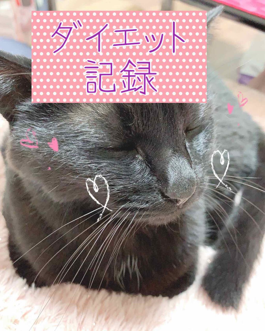 ð¶ããã¡ããð¶ on LIPS ãâïžãã€ãšããèšé²âïžæšæ¥ã®å€ã飯ã»ãã®ãšè±èçŒã(ãã³é
¢)ã»..ãïŒ1æç®ïŒ