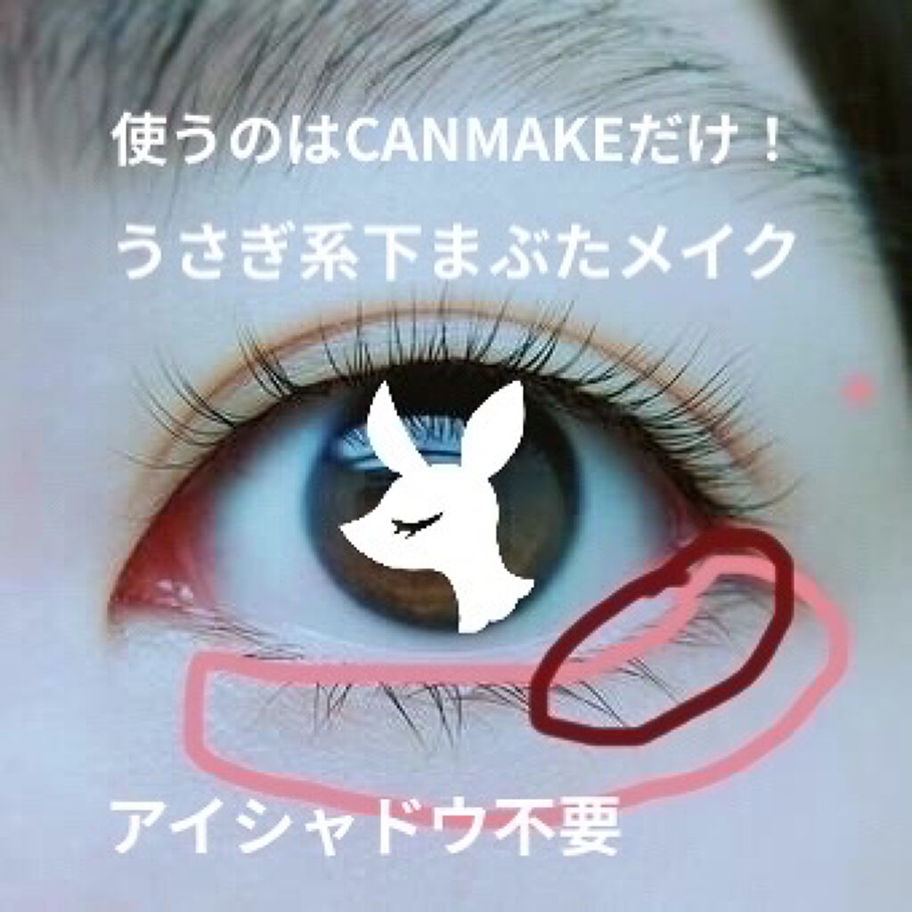 3wayスリムアイルージュライナー/キャンメイク/リキッドアイライナーを使ったクチコミ（1枚目）