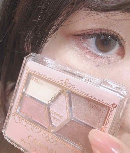 【旧品】パーフェクトスタイリストアイズ/キャンメイク/アイシャドウパレットを使ったクチコミ(4枚目)