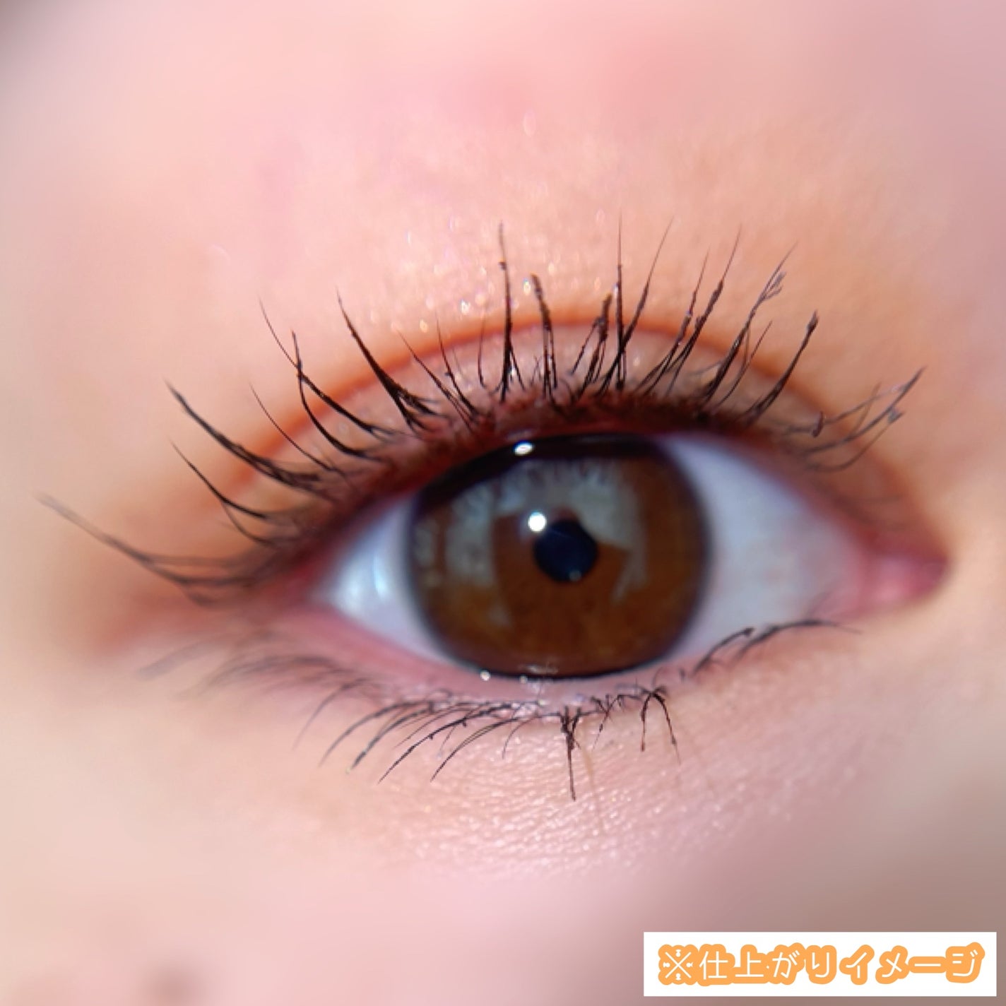 麗しマスカラ /Fujiko/マスカラを使ったクチコミ(5枚目)