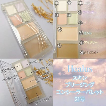 ブリージングコンシーラーパレット/Healus/パレットコンシーラーを使ったクチコミ(2枚目)
